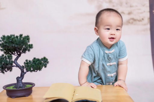 襄阳可爱的企鹅宝宝